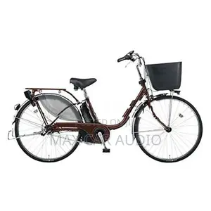 japan Panasonic E Bike