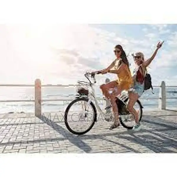 japan Panasonic E Bike