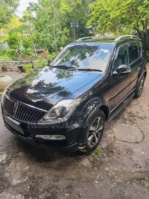 Micro Rexton 2016