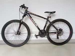 "Giant" mountain bike
