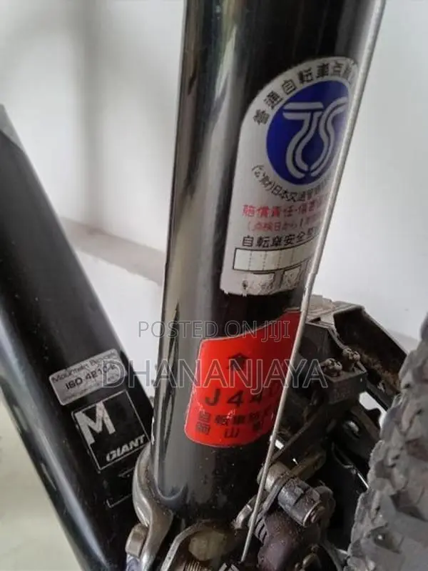 "Giant" mountain bike