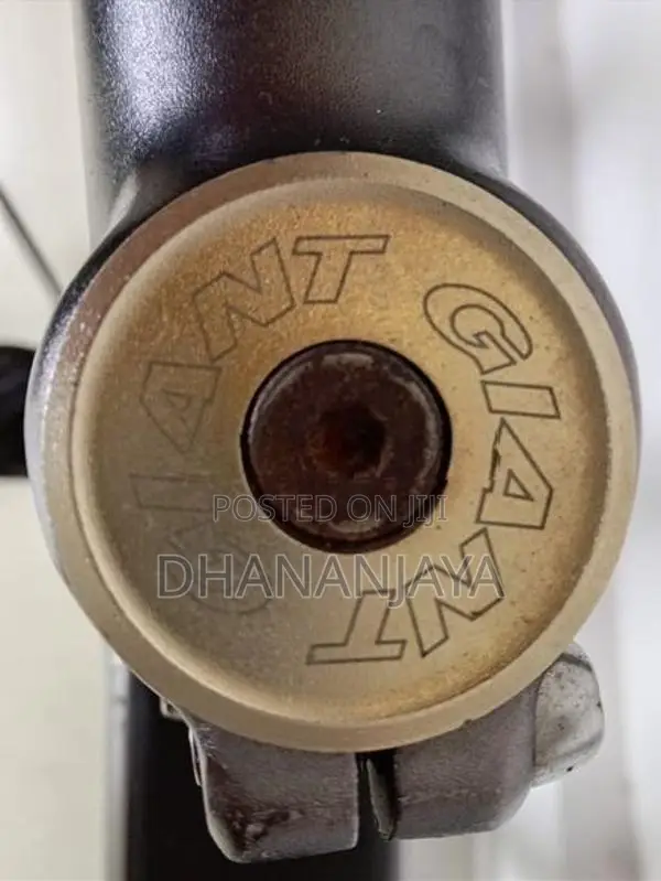 "Giant" mountain bike