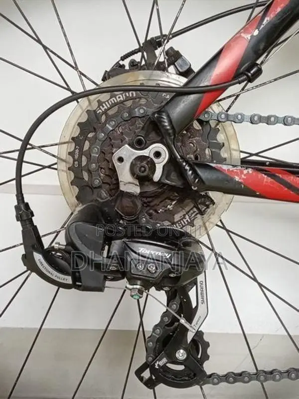 "Giant" mountain bike