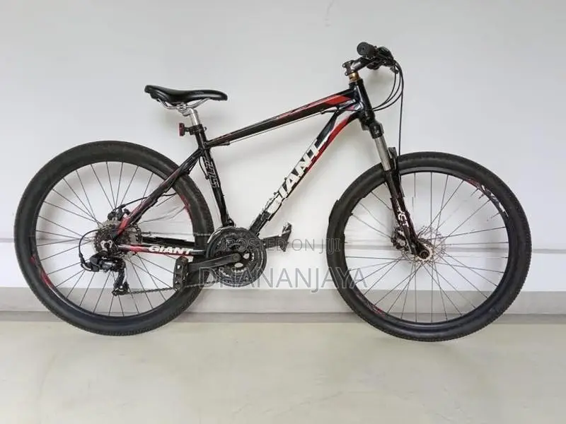 "Giant" mountain bike