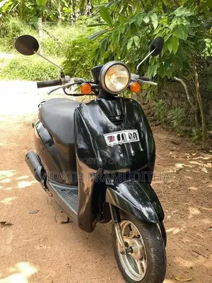 Honda Today 2024