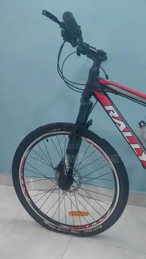 Rally RL26 Mountain Bicycle