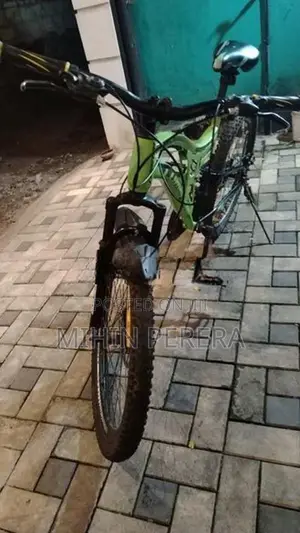 Lumstar Mountain Bicycle