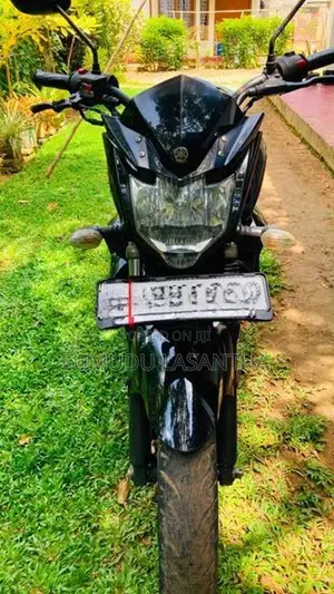 Yamaha FZ S 2017