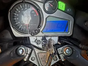 Hero Xtream 2013