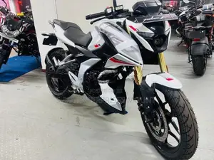 Bajaj Pulsar N160 Permium 2026