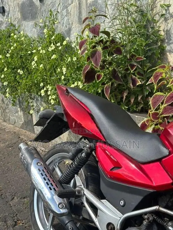 Bajaj Pulsar 180 2009