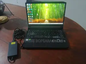 Acer Nitro 5