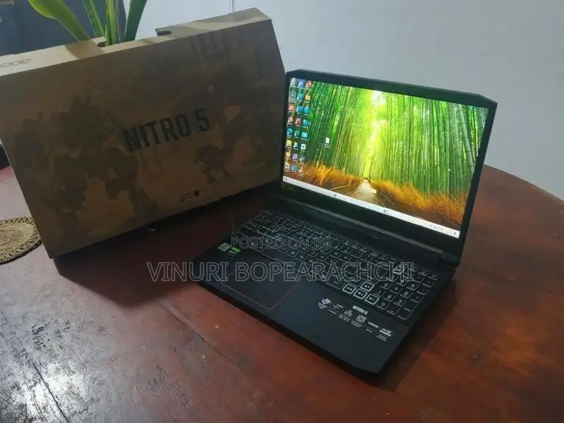Acer Nitro 5