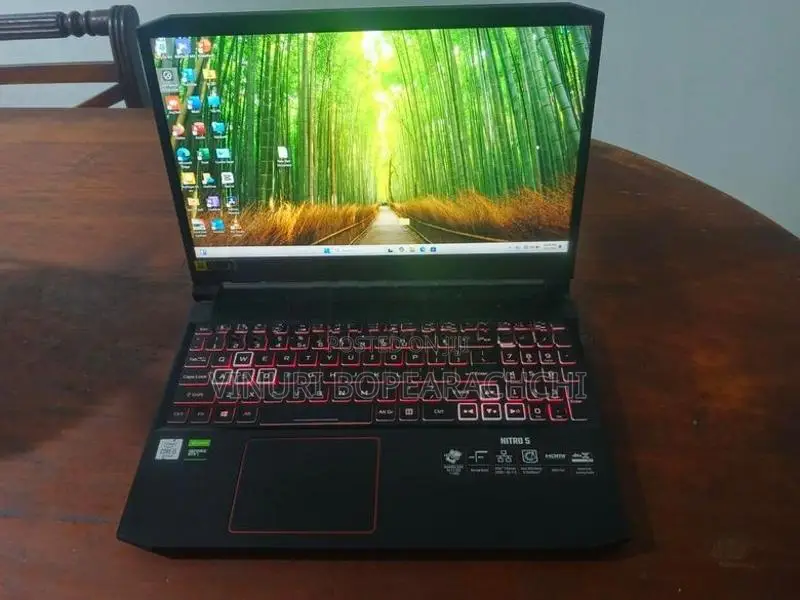 Acer Nitro 5