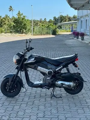 Honda Navi 2017