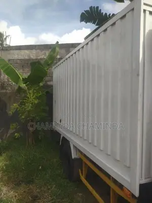 Foton Truck Body