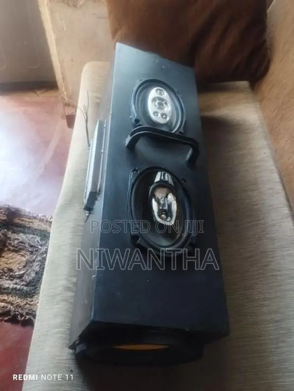 Car Speaker System