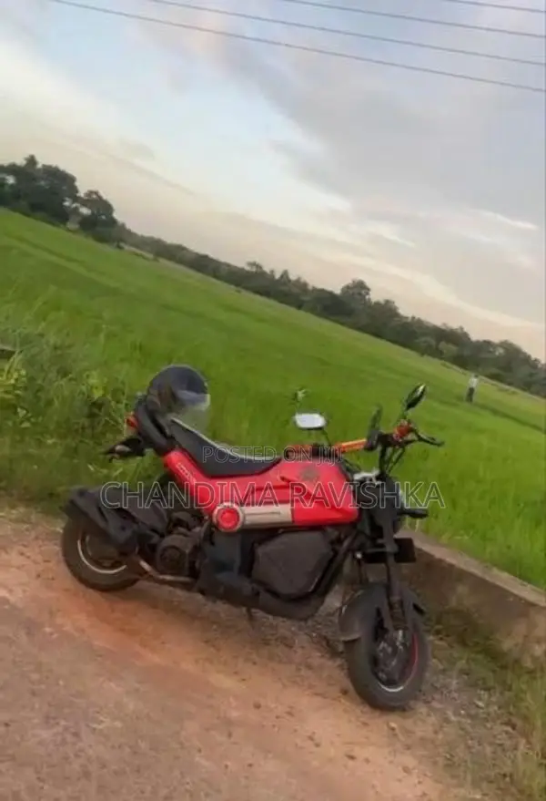 Honda Navi 2016