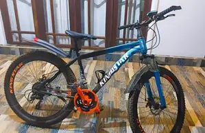 Kingstar 29" Mountain Bicycle