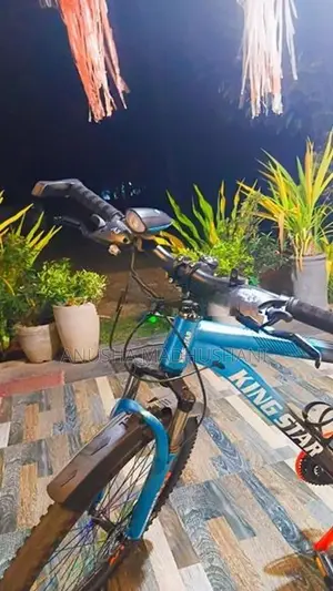 Kingstar 29" Mountain Bicycle