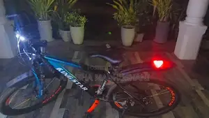Kingstar 29" Mountain Bicycle