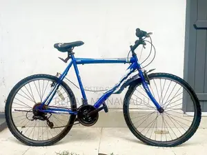 Push Bicycle