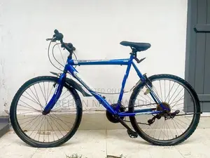 Push Bicycle