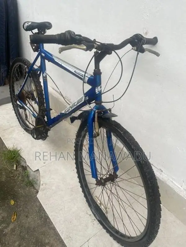 Push Bicycle