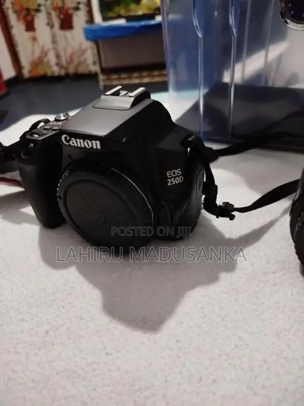 canon 250D