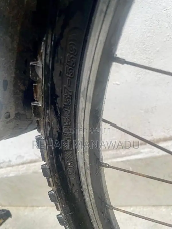 Push Bicycle