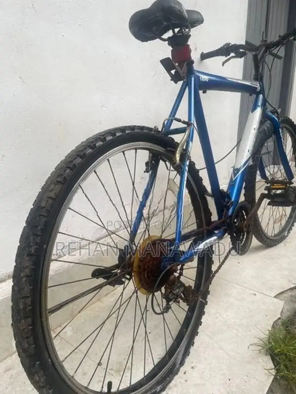 Push Bicycle