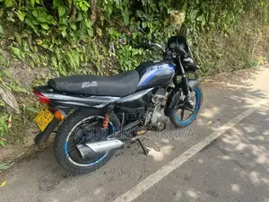 Bajaj Platina 2011