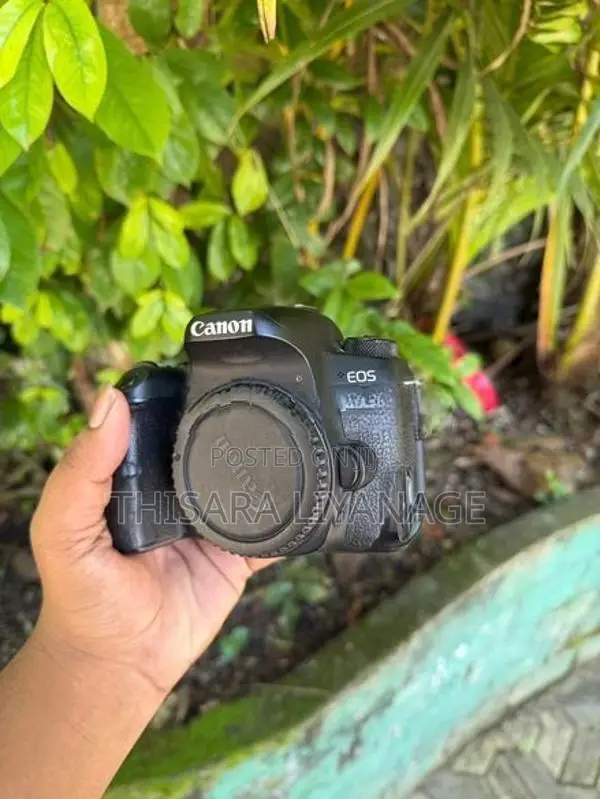 Canon 77D