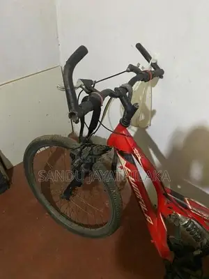 Lumala bicycle