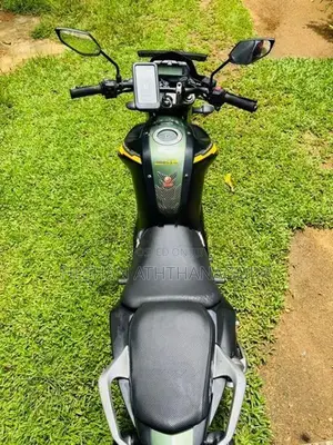 Yamaha FZs V2 2019 Anniversary