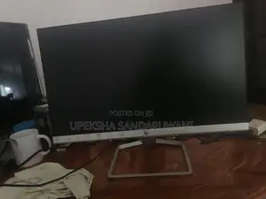 HP IPS monitor