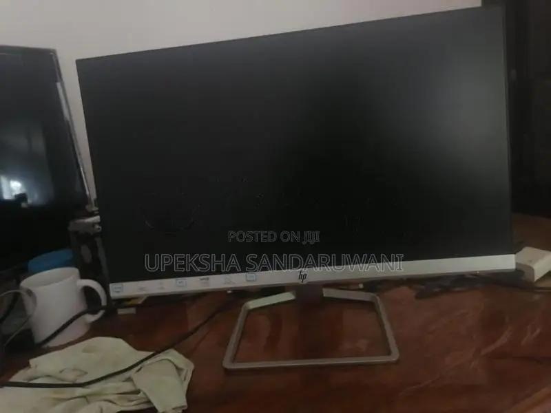 HP IPS monitor