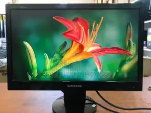 20’’ Wide LCD Monitor