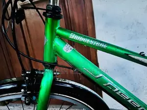 Japan Bicycle Bridgestone