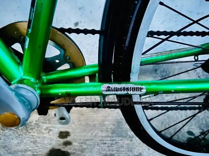 Japan Bicycle Bridgestone