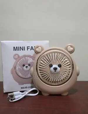 Mini Fan