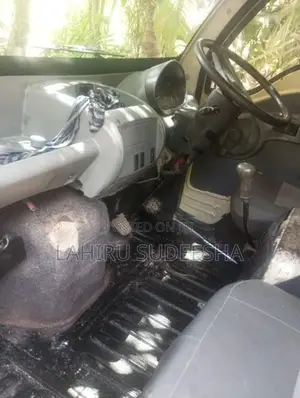 Tata Dimo Batta Lorry 2010