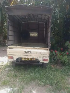 Tata Dimo Batta Lorry 2010