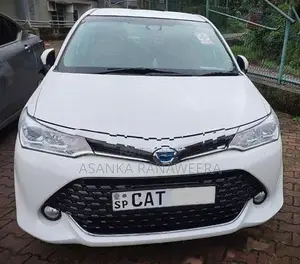 Toyota Axio G Grade 2016
