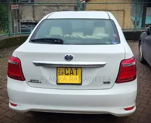 Toyota Axio G Grade 2016