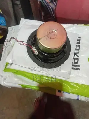 Panasonic Speaker