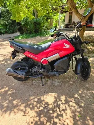 Honda Navi 2019 2018