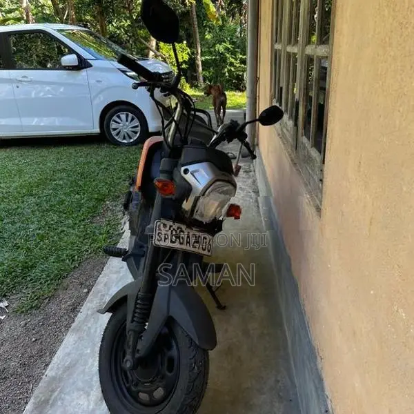 Honda Navi 2018 2017