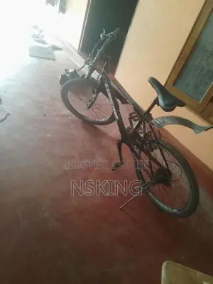 Mountain Bicycle