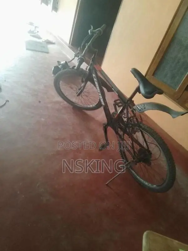 Mountain Bicycle